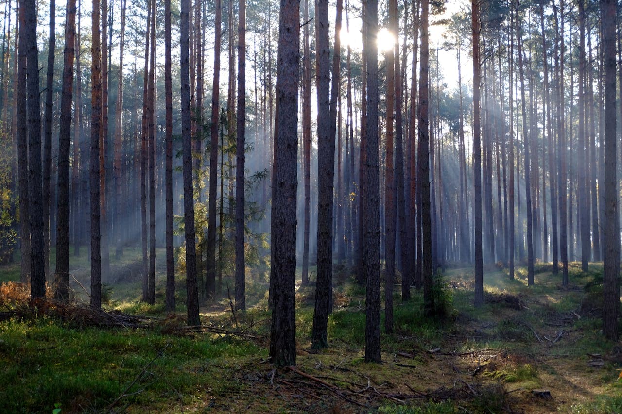 Tourisme durable et hébergements écologiques